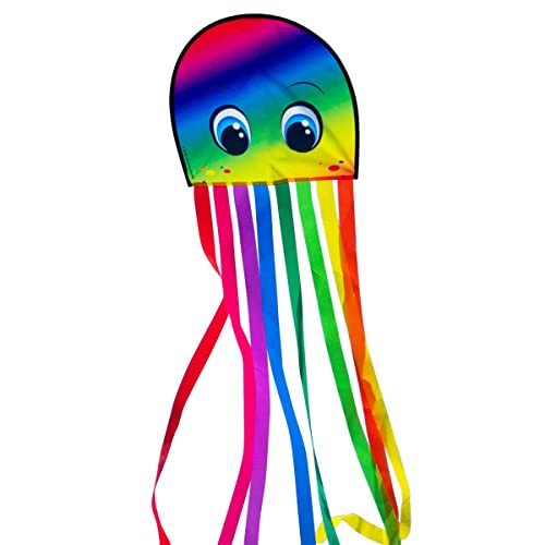 CIM Kinderdrachen - DRAKI XL Rainbow - Drachen Abmessungen: 31 x 180cm - inkl. 40m Drachenschnur auf Handgriff - für Kinder ab 3 Jahren von CIM