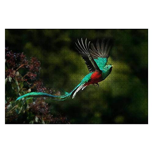 Puzzle 1000 Teile Fliegender Prächtiger Quetzal Pharomachrus Mocinno Savegre In Costa Rica Holzpuzzle Für Erwachsene Und Kinder Liebhaber Puzzlesets Dekompression Holzpuzzlespielzeug von 385