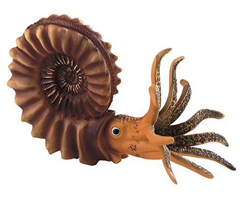 Bullyland 58400 - Spielfigur Ammonit Kopffüßer, ca. 15,1 cm, detailgetreu, PVC-frei, ideal als kleines Geschenk für Kinder ab 3 Jahren von 3B Scientific