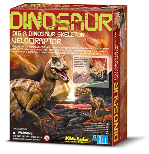 4M 663234 - Dinosaurier Ausgrabung Velociraptor von 4M