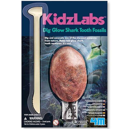 4M Dig A Glow Sharks Tooth von 4M