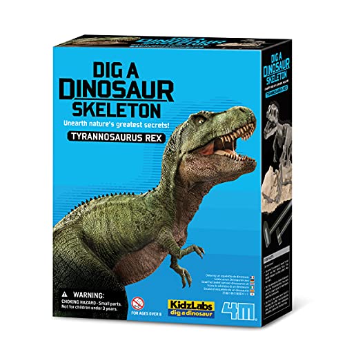 Dinosaurier Ausgrabung T-Rex - 4M Archäologie Set für Kinder - DIY Dinosaurier Skelett Bausatz - Ausgrabungsspielzeug ab 5 Jahren - Tyrannosaurus Rex Skelett zusammenbauen von 4M