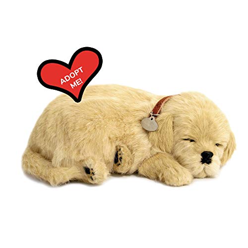 PERFECTPET 96118 Precious Petzzz Hund Plüschtier, Braun, 1 von 88 Unlimited