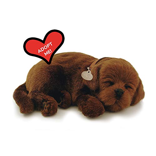 Perfect Petzzz 5519715 Chocolate Lab Plüsch, Tier, Druck, Schokoladenlabor, 1 von 88 Unlimited