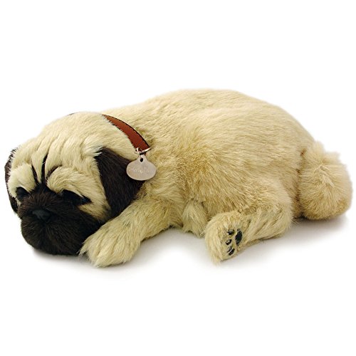 Perfect Petzzz Mops (Pug) Hund den Welpen, der atmet The Breathing Puppy von 88 Unlimited