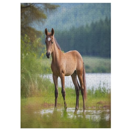 300 Teile Puzzle Für Erwachsene, Pferd -Puzzles, Kinder Holz-Puzzle, Kreatives Puzzle, Geschenk Für Freunde Und Familie 42×30cm von AAPZY