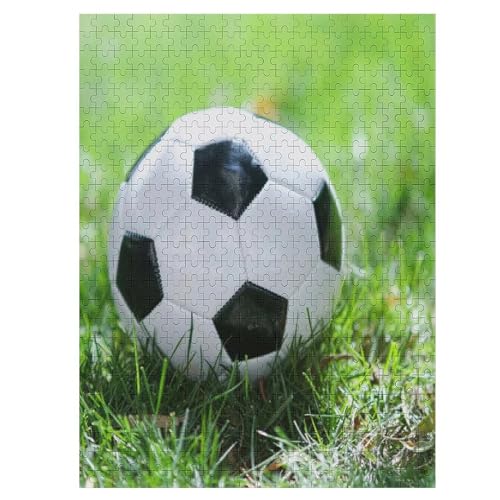 Puzzles Für Erwachsene 500 Teiliges Fußball Puzzles Für Erwachsene Holzbrettpuzzles Denksportaufgaben Für Erwachsene （55×41cm） von AAPZY