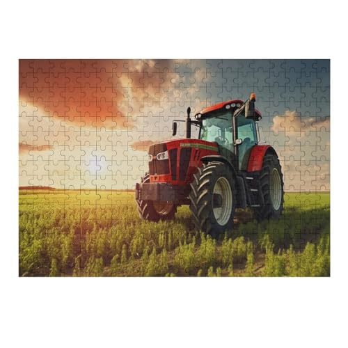 Traktor Puzzles 300 Teile Erwachsener Kniffel Spaß Für Die Ganze Familie - 300 Puzzleteilige Motive, Holzpuzzle Kinder Erwachsene, Impossible Puzzle Schwer （40×28cm） von AAPZY