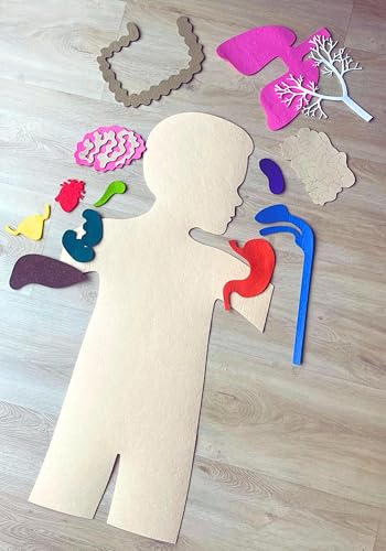 Montessori Körperteile Filz-Anatomiematte des menschlichen Körpers, Body Story Board Set - 15 bewegliche Teile, Lernset für Kinder + Poster 89x46 cm Deutsche Version von ABC MONTESSORI TOYS