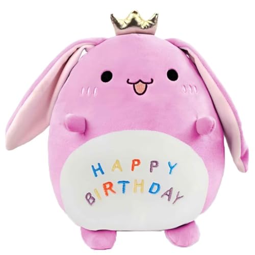 ACCZ Plüschtier Plüschkissen Geburtstag Geschenk für Mädchen, 40cm Kuscheltier Stofftier Plüsch Spielzeug, Wurfkissen, Kissen Puppe, Schmusetier Happy Birthday Geschenk für Kinder von ACCZ