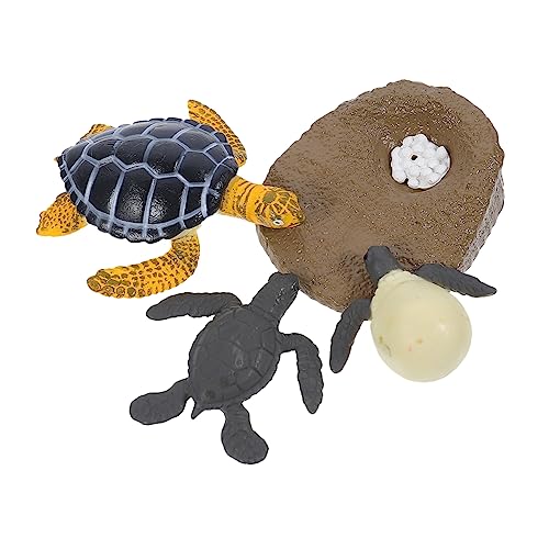 ADOCARN 1 Satz tierischer Wachstumszyklus schildkröte für spielzeuge für handwerkskunst Toys Kid Toys pädagogisches Simulationstiermodell Plastik von ADOCARN