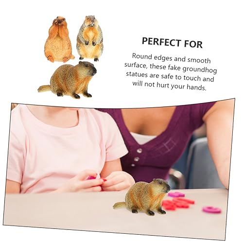 ADOCARN 3 Stück Simulierte Wildtiere Spielzeug Murmeltier Figuren Murmeltier Figur Simulation Murmeltier Verzierung Künstliche Murmeltier Ornament Murmeltier Erkennungsmodell Spielzeug von ADOCARN