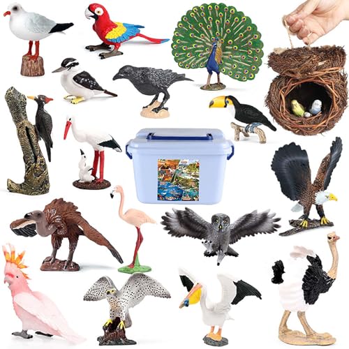 AENIMELY 21-teiliges realistisches Vogelfiguren-Set Pfau Flamingo pädagogische Vogel-Figur Sammlung Kuchenaufsätze Geschenke für Kinder mit Aufbewahrungsbox von AENIMELY