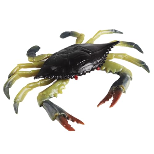 AENIMELY Grüner Krebs – Realistische TPR-weiche Gummi-Tierfiguren mit hartem Panzer – Drück-Fidget-Relief-Spielzeug, STEM-Lernspiel für Kinder AENIMELY Grüner Krebs – Realistische TPR-weiche Gummi-Tierfiguren mit hartem Panzer – Drück-Fidget-Relief-Spielzeug, STEM-Lernspiel für Kinder von AENIMELY