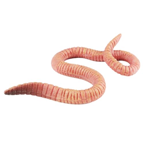 AENIMELY Realistische Regenwurm-Tierfiguren – Insektenmodell, Lernspielzeug, Streichspielzeug, Gag-Spielzeug, Halloween-Party-Dekoration AENIMELY Realistische Regenwurm-Tierfiguren – Insektenmodell, Lernspielzeug, Streichspielzeug, Gag-Spielzeug, Halloween-Party-Dekoration von AENIMELY