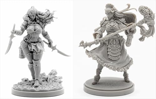 AERUIKJS 1/48 Ancient Female Warrior Samurai Resin Model Kit Unbemalt und unmontiert Soldier Resin Model Kit (2 Person) // K9U-6s5 von AERUIKJS