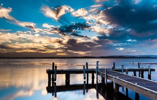 100-teiliges Puzzle für Erwachsene – Puzzles mit 100 Teilen – Entspannungspuzzlespiele – Denksportaufgabe, Vögel, Pier, Pelikane, 45,5 x 35,5 cm 100-teiliges Puzzle für Erwachsene – Puzzles mit 100 Teilen – Entspannungspuzzlespiele – Denksportaufgabe, Vögel, Pier, Pelikane, 45,5 x 35,5 cm von AFHMZ