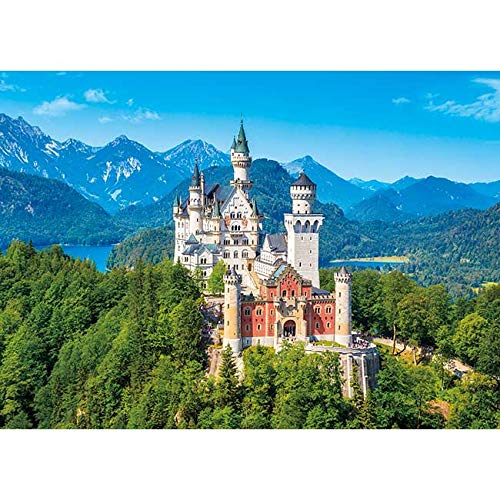 1000 Teile/Bayas glitzerndes Schloss Neuschwanstein Puzzle Japanisches Landschaftspuzzlespiel Mode Kreatives Geschenk 70x50CM von AFHMZ