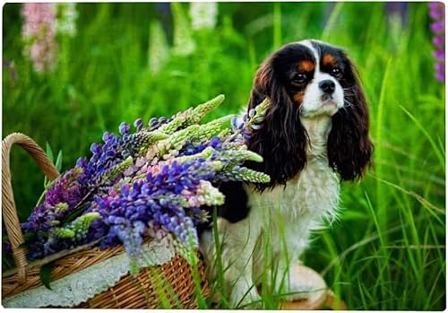 1000 Teile Hund im Park Puzzle für Erwachsene Cavalier King Charles Spaniel Hundepuzzle Schwieriges und herausforderndes großes Puzzlespiel Spielzeug Geschenk für Teenager 70x50CM von AFHMZ