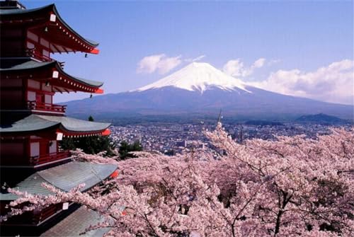 1000 Teile Puzzlespiele Mount Fuji Kirschblüten Muster Puzzles Spielzeug Home Wanddekoration Geschenke 38x26CM von AFHMZ