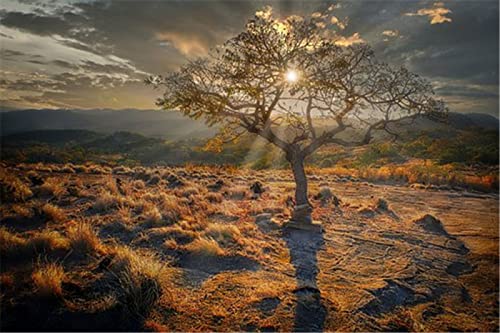 1000-teiliges Puzzle | Baum auf dem Berggipfel | Puzzle für Erwachsene und Jugendliche, 108 Teile, 70 x 50 cm von AFHMZ