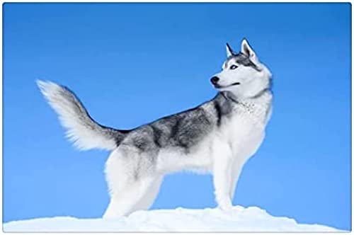 1000-teiliges Puzzle für Erwachsene, Holzpuzzle, Ölgemälde-Puzzle mit Alaskan Malamute, Geschenk für die Freundin, 38 x 26 cm von AFHMZ