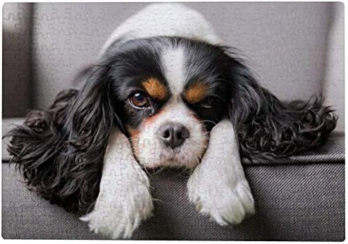 1000-teiliges Puzzle für Erwachsene – Cavalier King Charles Spaniel Hund, Lernspielzeug, Gehirn-Herausforderung, Freizeitaktivitäten, Holzpuzzle, 70 x 50 cm von AFHMZ