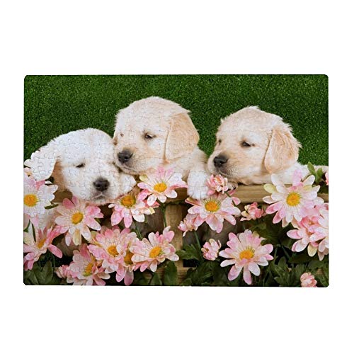 1000-teiliges Puzzle für Erwachsene – Golden Retriever-Welpen, Blumen, 52 x 38 cm von AFHMZ