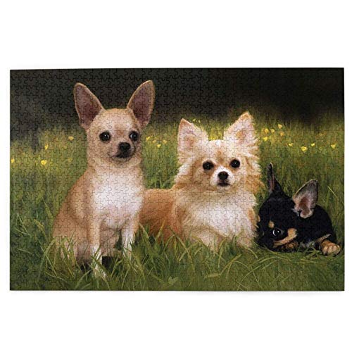 2000-teiliges Puzzle, Baby-Chihuahua-Hunde, lustiges Lernspielzeug, Lernspiele, Heimdekorations-Puzzle, 70 x 100 cm von AFHMZ