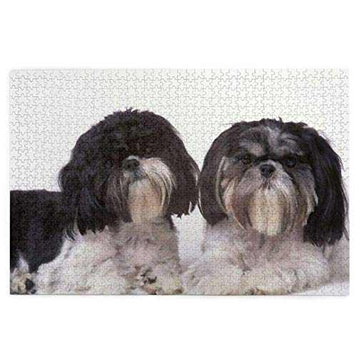 2000-teiliges Puzzle, Tierhund, süßer Shih Tzu, lustiges Lernspielzeug, Lernspiele, Heimdekoration, Puzzle, 70 x 100 cm von AFHMZ