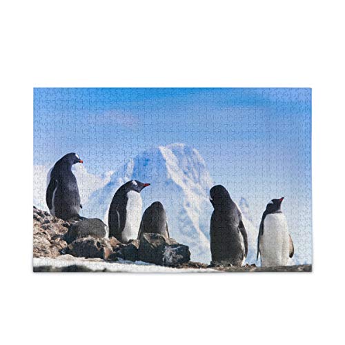 2000-teiliges Puzzle Antarktis Niedliches Tierpinguin-Puzzle, lustiges Spielzeug-Familienspiel zum pädagogischen intellektuellen Entspannen 100x70CM von AFHMZ