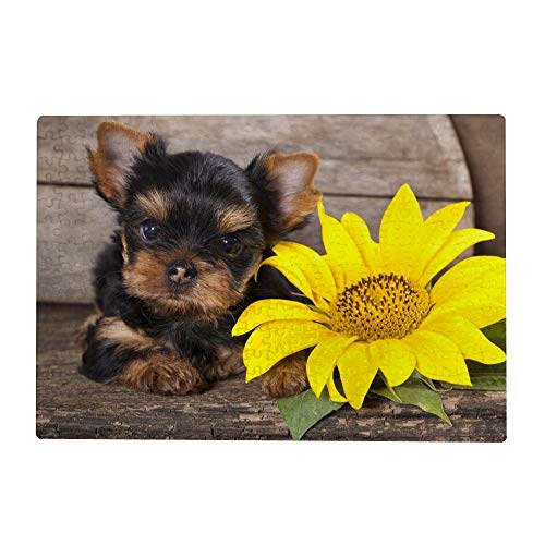 2000-teiliges Puzzle für Erwachsene – Yorkshire-Terrier-Welpe, Sonnenblume, 70 x 100 cm von AFHMZ