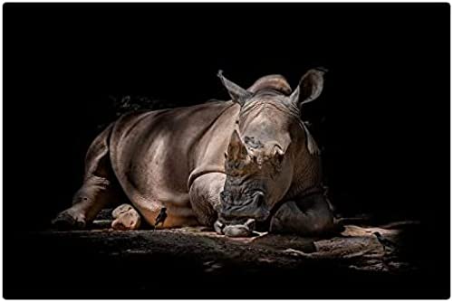 300-teiliges Puzzle für Erwachsene, Holzpuzzle, Nashorn- und Krähen-Puzzle, Unmögliches Puzzle 38 x 26 cm 300-teiliges Puzzle für Erwachsene, Holzpuzzle, Nashorn- und Krähen-Puzzle, Unmögliches Puzzle 38 x 26 cm von AFHMZ