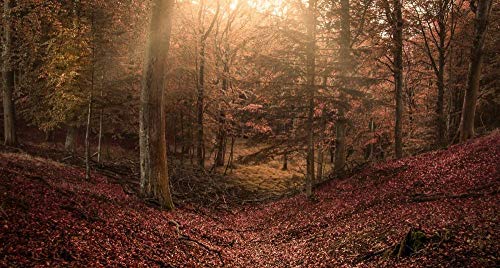 After Dinner Games 1000-teiliges Puzzle, geistiges Lernspiel, schwierig und herausfordernd. Waldlandschaft, 38 x 26 cm von AFHMZ