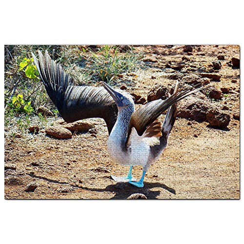 Ecuador Blaufußtölpel Galapagos Puzzle für Erwachsene 1000 Teile Reisegeschenk Souvenir 38x26CM von AFHMZ