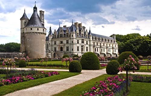 Lernspiel Kindergarten Puzzle 1000 Teile Stadt Frankreich Chenonceau Chateau Edel et Loire 70x50CM von AFHMZ