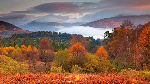 Loch Lomond and The Trossachs Nationalpark, Schottland, Puzzle 1000 Teile für Erwachsene und Kinder 70x50CM von AFHMZ