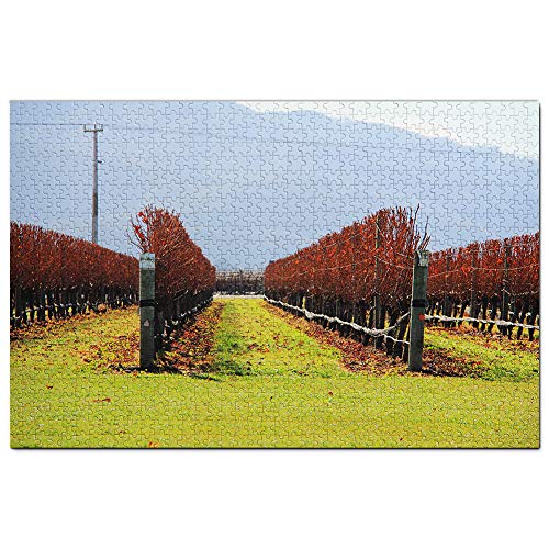 Neuseeland Wither Hills Cellar Door Blenheim Puzzle 2000 Teile Spiel Kunstwerk Reise Souvenir 70x100CM von AFHMZ