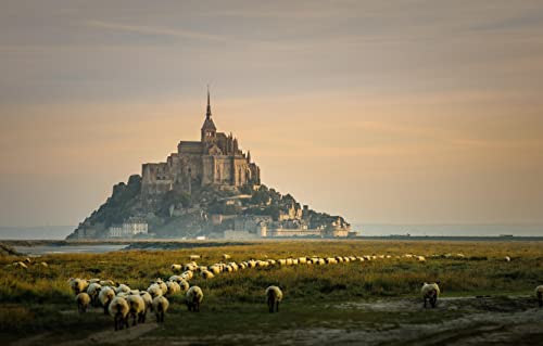 Papierpuzzle für Erwachsene, 1000 Teile, Mont-Saint-Michel, Schlossinsel, Schafe, individuelles Puzzle, 52 x 38 cm von AFHMZ