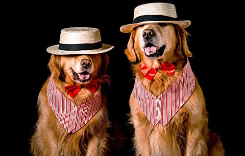 Puzzle 100 Teile Hund 45,5x35,5CM Puzzle 100 Teile Hund 45,5x35,5CM von AFHMZ