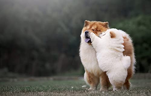 Puzzle 100 Teile Hund 45,5x35,5CM Puzzle 100 Teile Hund 45,5x35,5CM von AFHMZ