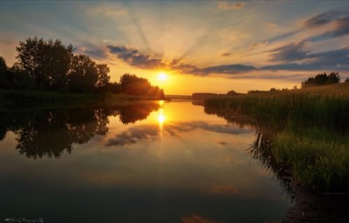 Puzzle 100 Teile für Erwachsene | 100-teiliges Puzzle, Lernspiele, Heimdekorationspuzzle, Bäume, 45,5 x 35,5 cm Puzzle 100 Teile für Erwachsene | 100-teiliges Puzzle, Lernspiele, Heimdekorationspuzzle, Bäume, 45,5 x 35,5 cm von AFHMZ