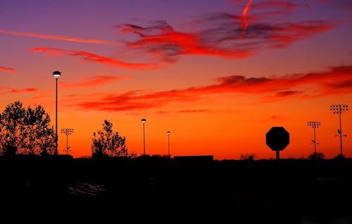 Puzzle 100 Teile für Erwachsene | 100-teiliges Puzzle, Lernspiele, Heimdekorationspuzzle, Stadt, Straße, 45,5 x 35,5 cm Puzzle 100 Teile für Erwachsene | 100-teiliges Puzzle, Lernspiele, Heimdekorationspuzzle, Stadt, Straße, 45,5 x 35,5 cm von AFHMZ