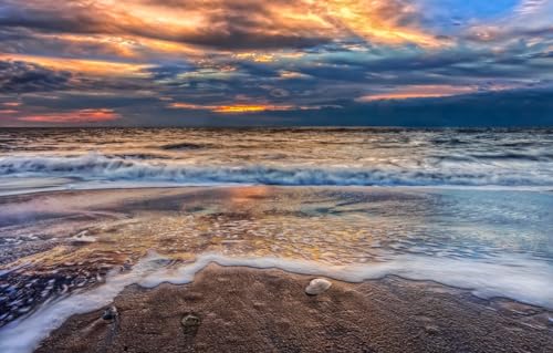 Puzzle 100 Teile für Erwachsene | 100-teiliges Puzzle, Lernspiele, Heimdekorationspuzzle, Strand, Landschaft, Ozean, 45,5 x 35,5 cm Puzzle 100 Teile für Erwachsene | 100-teiliges Puzzle, Lernspiele, Heimdekorationspuzzle, Strand, Landschaft, Ozean, 45,5 x 35,5 cm von AFHMZ