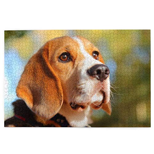 Puzzle 1000 Teile, Beagle-Hunde, Bokeh-Haustiere, Beagle-Puzzle, Spielzeug, Familienspiel, Wanddekoration für Erwachsene und Jugendliche, 70 x 50 cm von AFHMZ