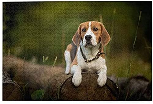 Puzzle 1000 Teile, Beagle-Wald, Bokeh, Hunde, Haustiere, Beagle, Papierpuzzle, Spielzeug, Familienspiel, Wanddekoration für Erwachsene und Jugendliche, 70 x 50 cm von AFHMZ