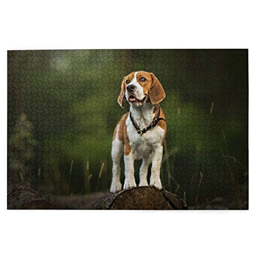 Puzzle 1000 Teile, Beagle-Wald, süße Hunde, Haustiere, Sommerhunde, Beagle, Puzzlespielzeug, Familienspiel, Wanddekoration für Erwachsene und Jugendliche, 70 x 50 cm von AFHMZ