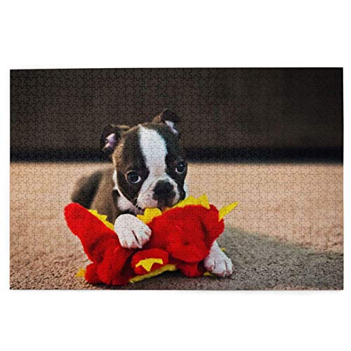 Puzzle 1000 Teile, Boston Terrier-Welpe, Bokeh-Hunde, Hunde mit Spielzeug, Puzzlespielzeug, Familienspiel, Wanddekoration für Erwachsene und Jugendliche, 70 x 50 cm von AFHMZ