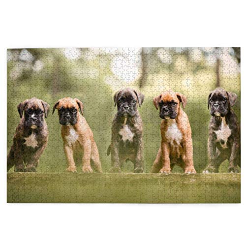 Puzzle 1000 Teile, Boxerhundewelpen, Haustiere, Familienhunde, Puzzlespielzeug, Familienspiel, Wanddekoration für Erwachsene und Jugendliche, 52 x 38 cm von AFHMZ