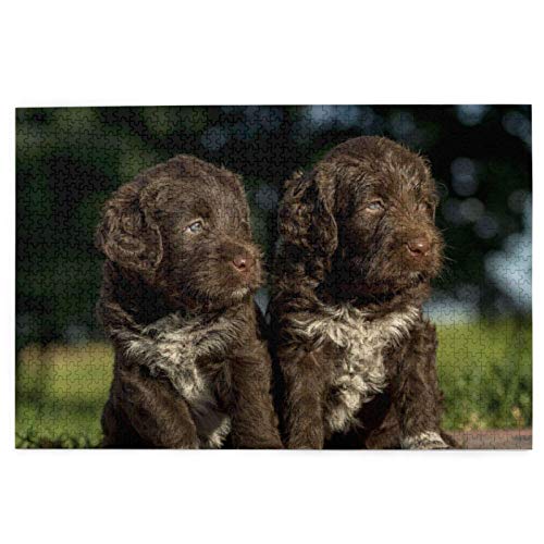 Puzzle 1000 Teile, Braune Cocker-Spaniel-Welpen, Bokeh-Cocker-Puzzle, Spielzeug, Familienspiel, Wanddekoration für Erwachsene und Jugendliche, 52 x 38 cm von AFHMZ